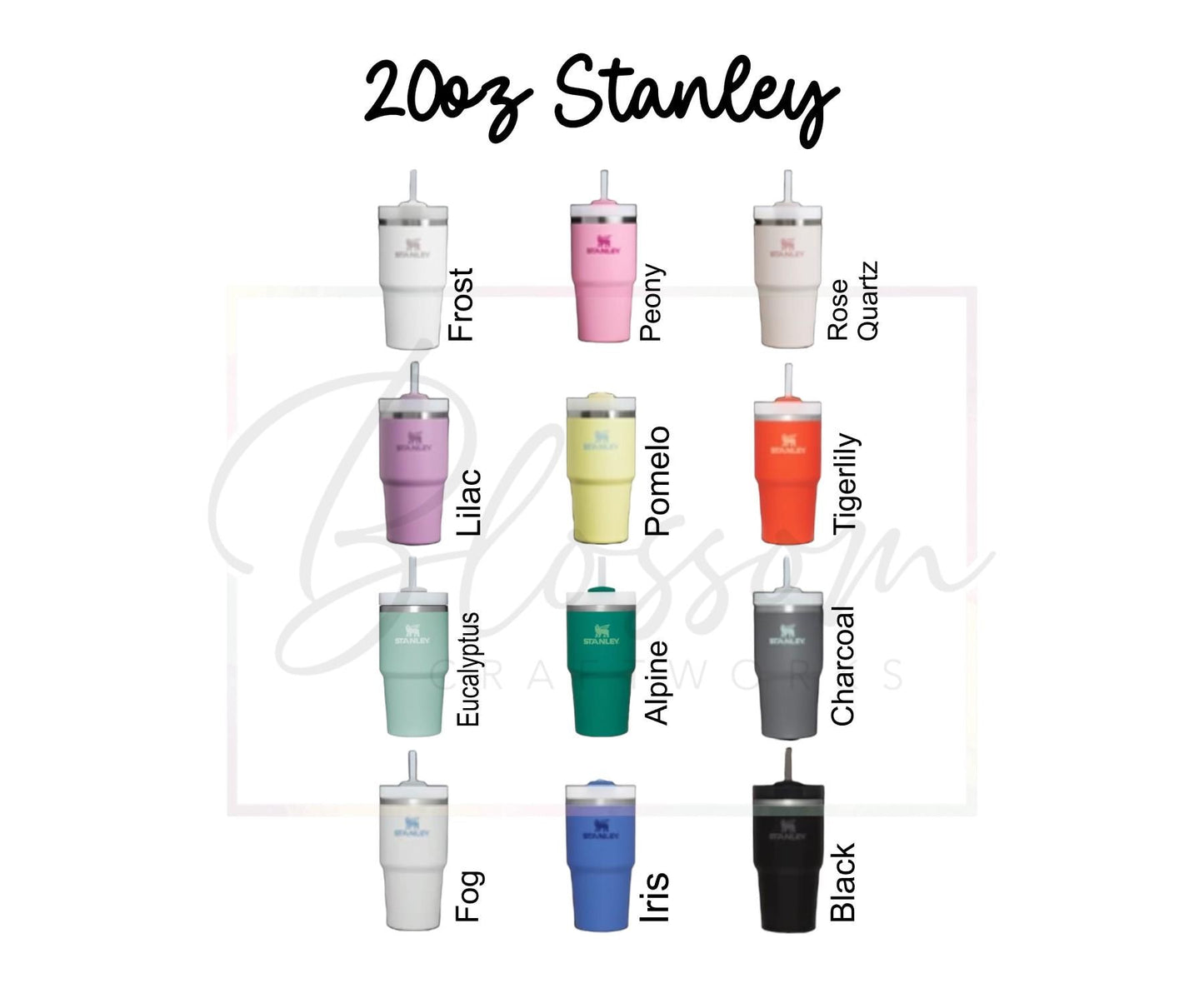 Kids Insulated Water Bottle for School and Play